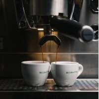 Wildkaffee