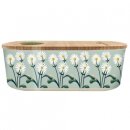 Bioloco plant lunchbox - daisies