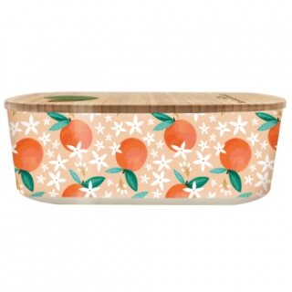 Bioloco plant lunchbox - oranges
