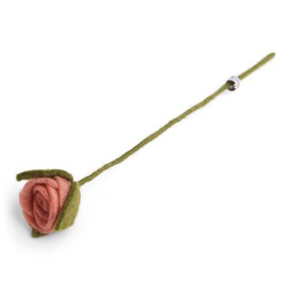 Rose lachsrot, 30 cm