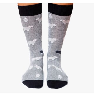 Socken Black Sheep grau