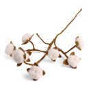 Zweig mit Baumwollblüten, 60 cm