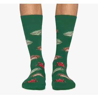 Socken Frogs