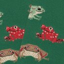Socken Frogs
