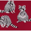 Socken Racoons