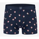 Boxer 1Peerie arno 