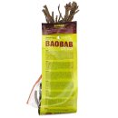 Baobab Setzling groß 4-5 Jahre