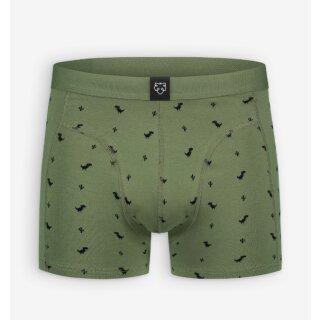 Boxer Brief Dino