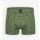 Boxer Brief Dino