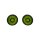 Ohrstecker KIWI, Flaschenkurbis