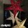 starlightz geeta m gold