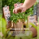 Anzuchtset – Minigarten Erdbeeren