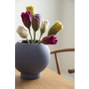 Tulip - Dusty Light Yellow