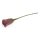 Tulip - Rouge