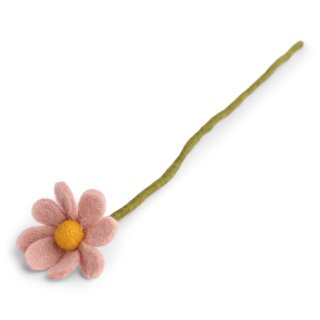 Anemone - Dusty Rose