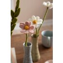 Anemone - Dusty Rose