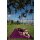 Beach Blanket - Plum/ Plum
