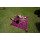 Beach Blanket - Plum/ Plum