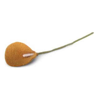 Calla dunkelgelb, 34 cm