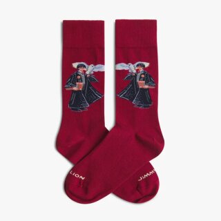 Socken Harry Potter Harry