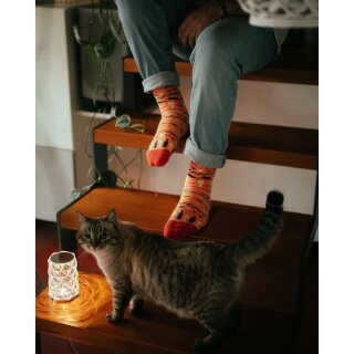 Socken Katten