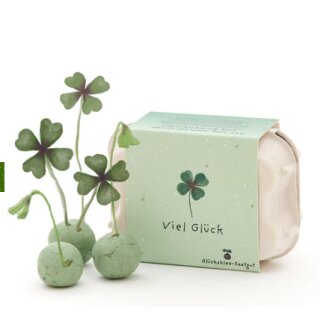 6 bunte Blumenmurmeln im Eierkarton "Viel Glück"