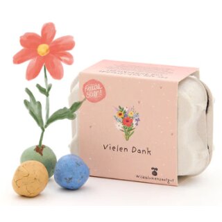 6 bunte Blumenmurmeln im Eierkarton "Vielen Dank"