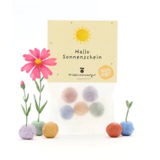 5 Blumenmurmeln im Tütchen "Hallo Sonnenschein"