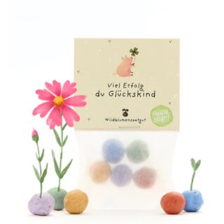 5 Blumenmurmeln im Tütchen "Viel Erfolg"