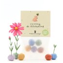 5 Blumenmurmeln im Tütchen "Viel Erfolg"