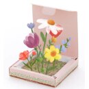 Pflanzkästchen - HDGDL - Hab dich ganz doll lieb