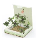 Pflanzkästchen - Viel Erfolg du Glückskind