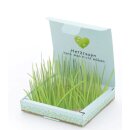 Pflanzkästchen - Herzrasen