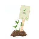 Gurke Besserung - Saatgruß (BIO)