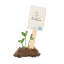 Du wunderschönes Geburtstagskind - Saatgruß