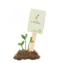 Viel Erfolg du Glückskind - Saatgruß