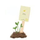 Hurra du bist da - Saatgruß