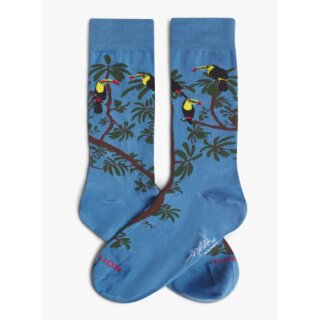 Pura Vida Rainbow Toucan