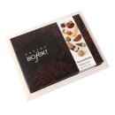 Kunststücke Selektion mit Schwips