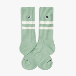 Socken Athletic Essentials stripes mint