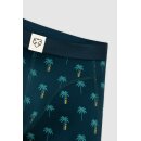 Boxer Brief Blue Palms