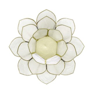 Kerzenständer Capiz Lotus weiß,14cm