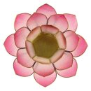 Teelichthalter Lotus Capiz Pink  14 cm