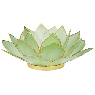 Teelichthalter Capiz Lotus seegrün 14cm