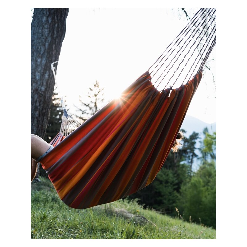 iphone air handyhlle Apple iPhone 17 Air Handyhlle - RingDefend